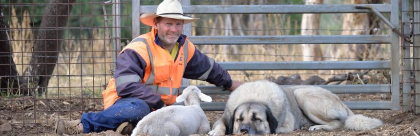 shane and boots, a farmer sits with his dog and lamb in front of a farm-gate