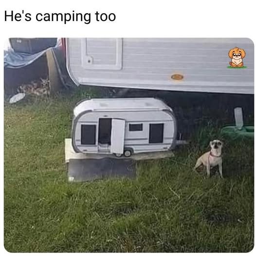 a small dog on the right sits next to a small caravan-shaped kennel in front of a full size caravan